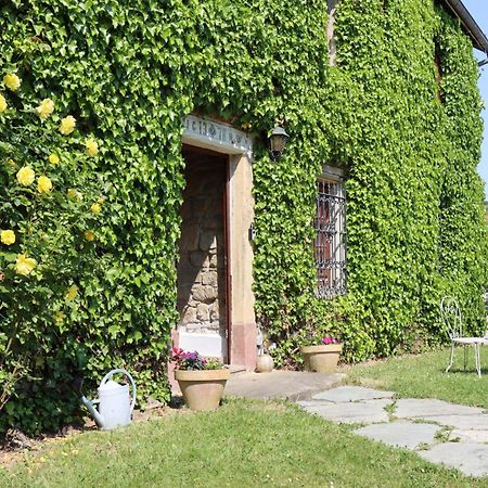 Apartamento Maison De Charme "Le Moulin D'Hagenthal" - Chambre Romantique Exterior foto